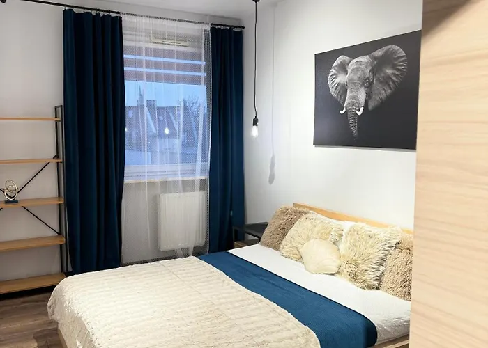 Good Time Koscielna 33 アパート *